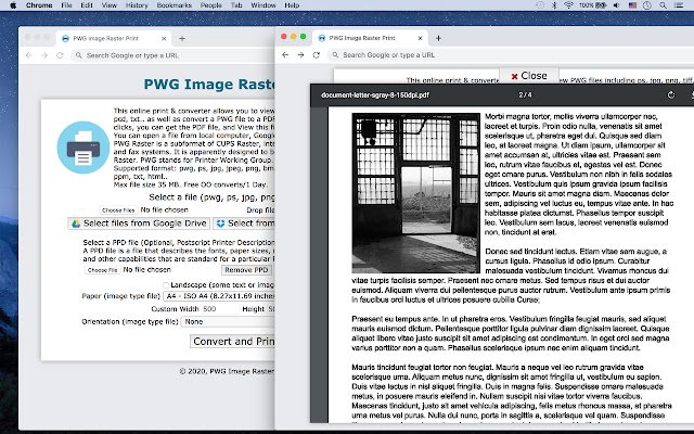 PWG Image Raster Print  from Chrome web store to be run with OffiDocs Chromium online