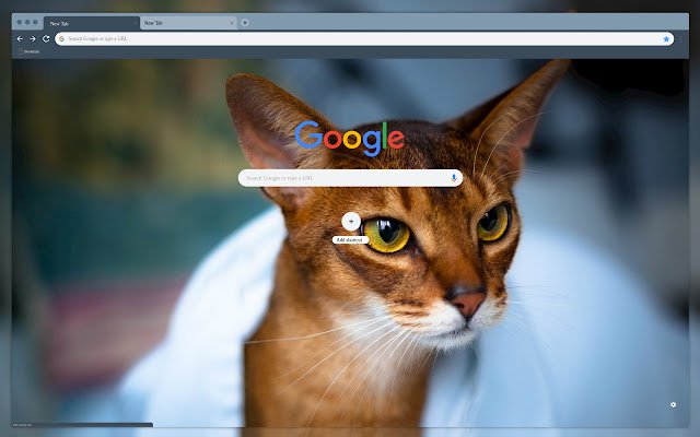 red cat  from Chrome web store to be run with OffiDocs Chromium online