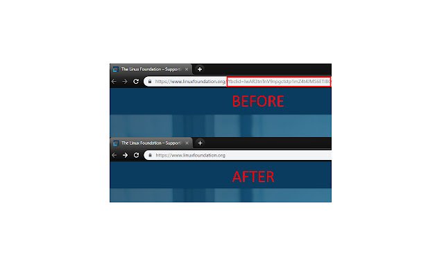 Remove Fbclidin Chrome With By Offidocs For 4707
