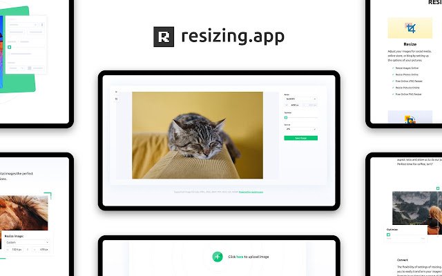 Resizing App  from Chrome web store to be run with OffiDocs Chromium online