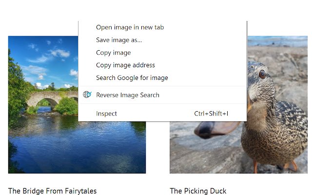 Reverse Image Search  from Chrome web store to be run with OffiDocs Chromium online