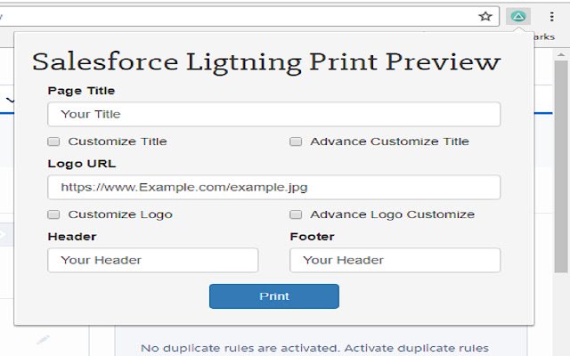 Visualização de impressão do Salesforce Lightning na loja on-line do Chrome para ser executada com OffiDocs Chromium online