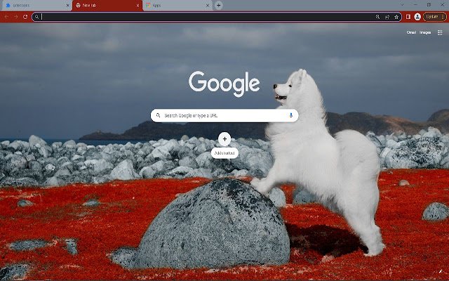 Samoyed Browser Theme  from Chrome web store to be run with OffiDocs Chromium online