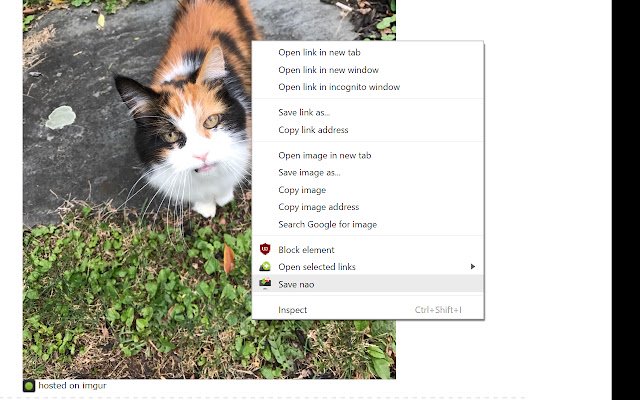 Save Image Nao  from Chrome web store to be run with OffiDocs Chromium online