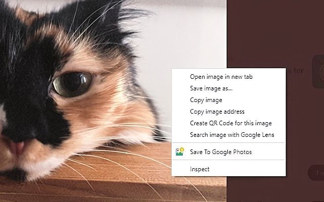 Save To Google Photos  from Chrome web store to be run with OffiDocs Chromium online