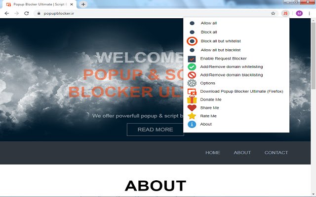 Script Blocker Ultimate (NoScript,Disable JS)  from Chrome web store to be run with OffiDocs Chromium online