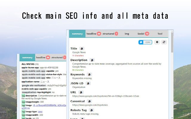 SEO META 1 COPY  from Chrome web store to be run with OffiDocs Chromium online