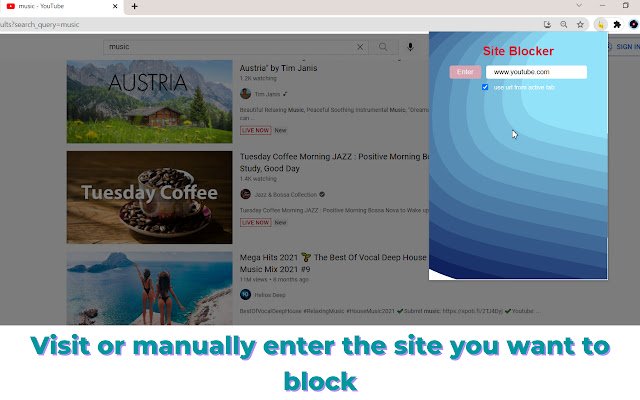 Site Blocker  from Chrome web store to be run with OffiDocs Chromium online