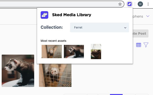 Chrome ウェブストアの Sked Media Library を OffiDocs Chromium オンラインで実行