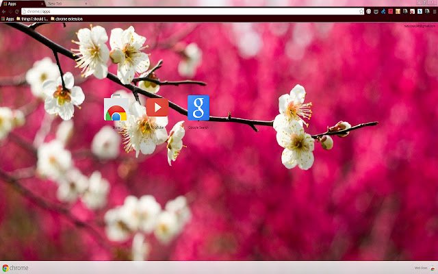 Spring Blossom  from Chrome web store to be run with OffiDocs Chromium online