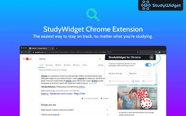 StudyWidget Chrome Extension  from Chrome web store to be run with OffiDocs Chromium online