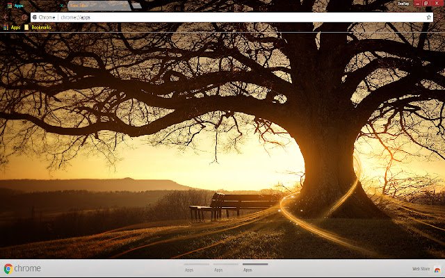 Sun Sunbeam Tree  from Chrome web store to be run with OffiDocs Chromium online