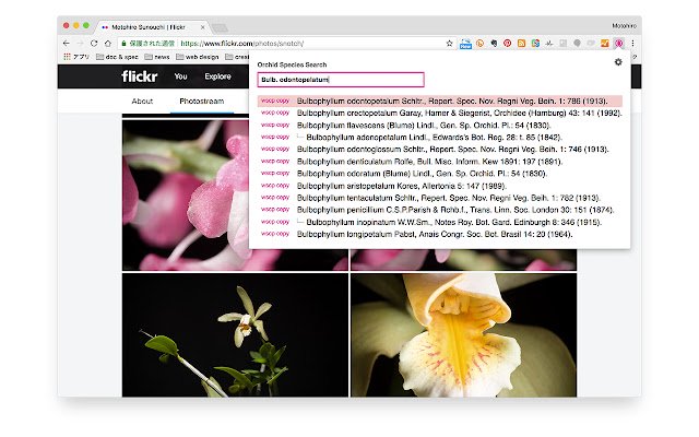 Swift Orchidist  from Chrome web store to be run with OffiDocs Chromium online