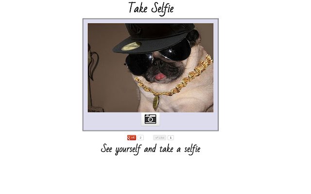 Take Selfie  from Chrome web store to be run with OffiDocs Chromium online