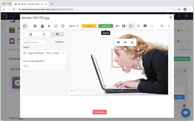 TaskReviewer (Custom Domain) for Teamwork  from Chrome web store to be run with OffiDocs Chromium online