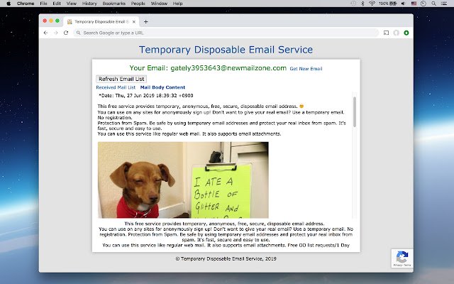 Temporary Disposable Email Service  from Chrome web store to be run with OffiDocs Chromium online