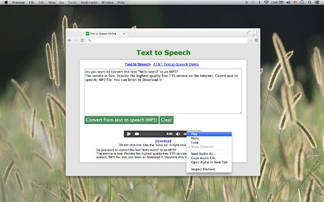 Text to Speech App  from Chrome web store to be run with OffiDocs Chromium online