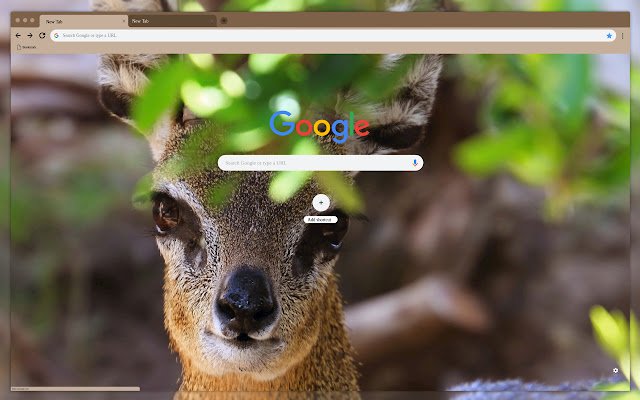 Os animais da Chrome Web Store serão executados com o OffiDocs Chromium online