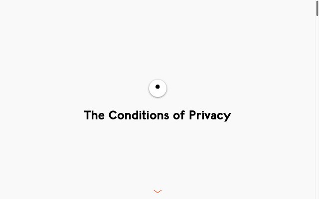 The Conditions of Privacy  from Chrome web store to be run with OffiDocs Chromium online