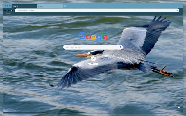 The flight of a bird  from Chrome web store to be run with OffiDocs Chromium online