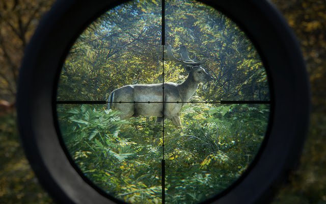 theHunter: Call of The Wild  from Chrome web store to be run with OffiDocs Chromium online