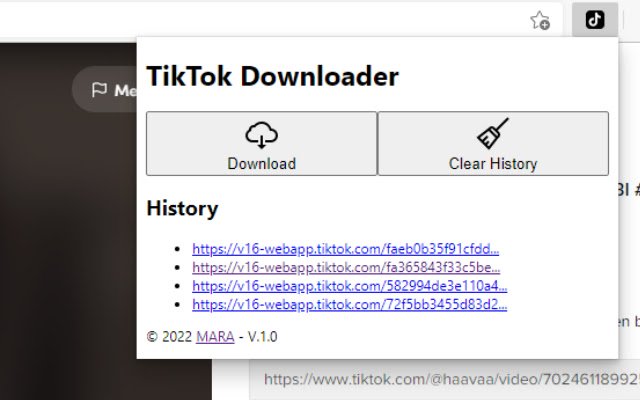 TikTok Downloader  from Chrome web store to be run with OffiDocs Chromium online