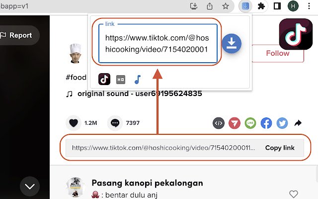 TikTok Downloader HD and Without Watermark  from Chrome web store to be run with OffiDocs Chromium online