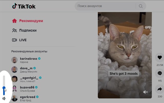 TikTok Volume Control  from Chrome web store to be run with OffiDocs Chromium online