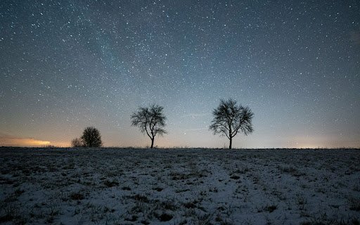 Trees Theme from Chrome web store to be run with OffiDocs Chromium online Trees Theme from Chrome web store to be run with OffiDocs Chromium online