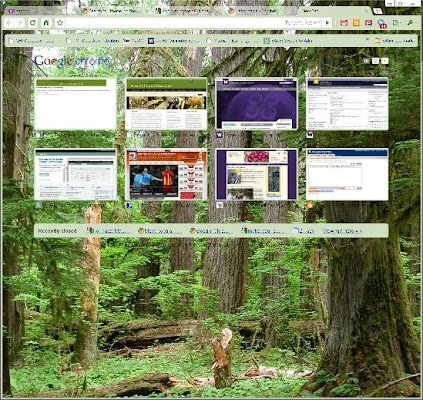 trees theme  from Chrome web store to be run with OffiDocs Chromium online