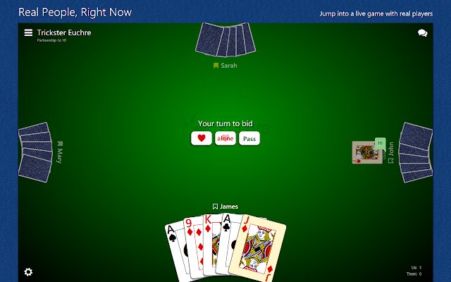 Trickster Euchre  from Chrome web store to be run with OffiDocs Chromium online