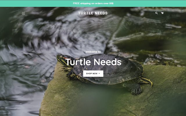 Turtle Needs  from Chrome web store to be run with OffiDocs Chromium online