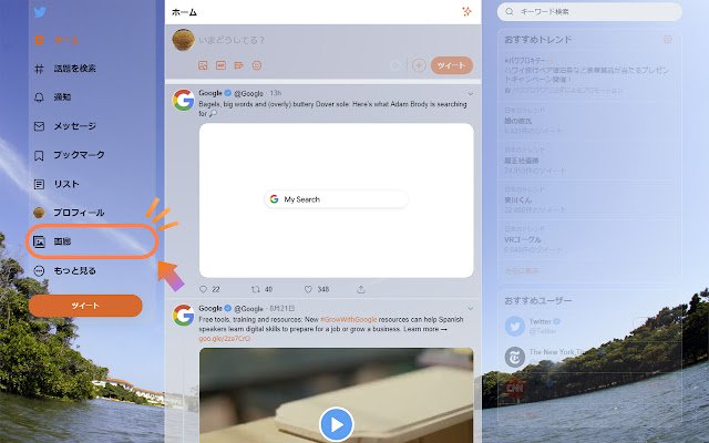 Twitter FollowsImages  from Chrome web store to be run with OffiDocs Chromium online