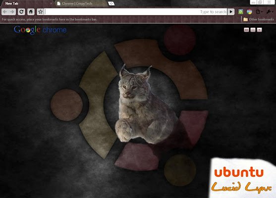 Ubuntu Lucid Lynx 10.04  from Chrome web store to be run with OffiDocs Chromium online