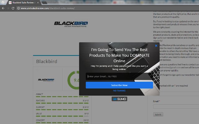 Unrivaled Online Product Reviews  from Chrome web store to be run with OffiDocs Chromium online