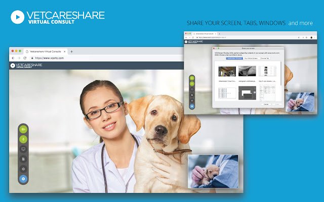 VCS Screen Sharing Utility  from Chrome web store to be run with OffiDocs Chromium online