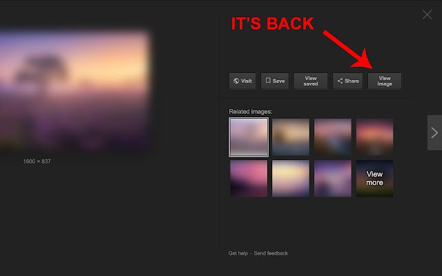 View Image button for Google Images™  from Chrome web store to be run with OffiDocs Chromium online