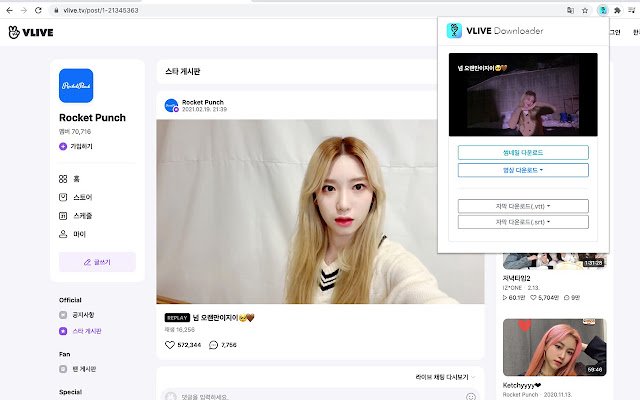 VLIVE Downloader  from Chrome web store to be run with OffiDocs Chromium online