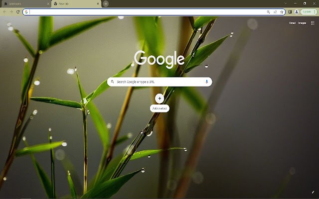 Water dew on the green grass Browser Theme  from Chrome web store to be run with OffiDocs Chromium online