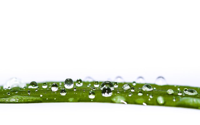 Water Drop on leaf  from Chrome web store to be run with OffiDocs Chromium online