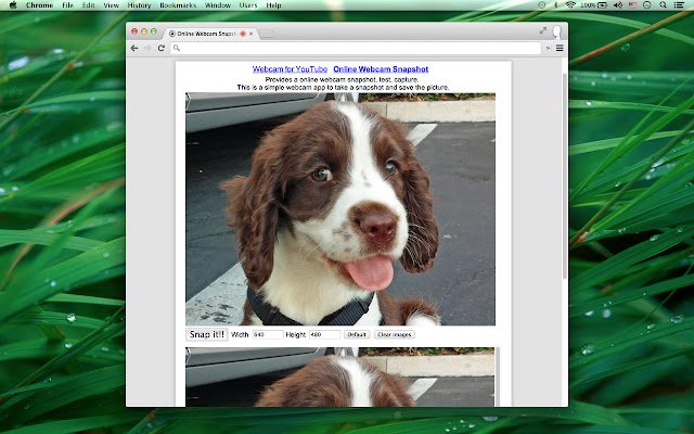 Webcam Recorder  Snapshot  from Chrome web store to be run with OffiDocs Chromium online