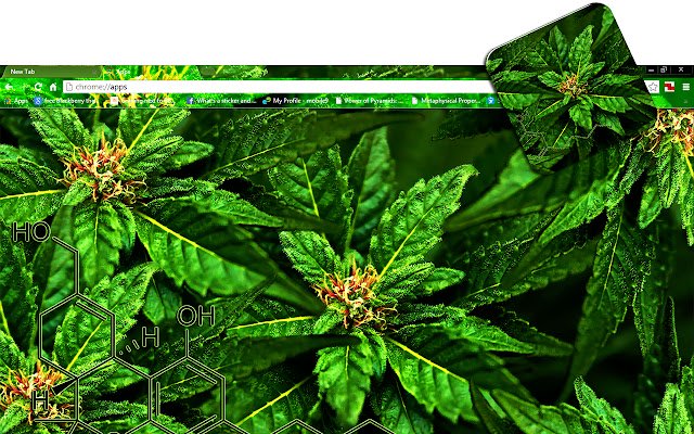 Weed Chronic  from Chrome web store to be run with OffiDocs Chromium online