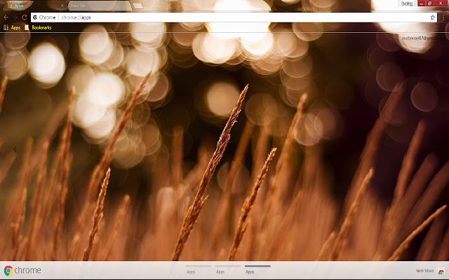 Wheat de Chrome web store se ejecutará con OffiDocs Chromium en línea