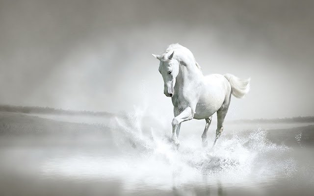 White Horse By RB Themes 1366X768  from Chrome web store to be run with OffiDocs Chromium online