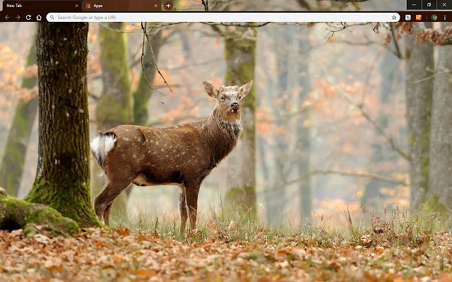 Whitetail Deer  from Chrome web store to be run with OffiDocs Chromium online