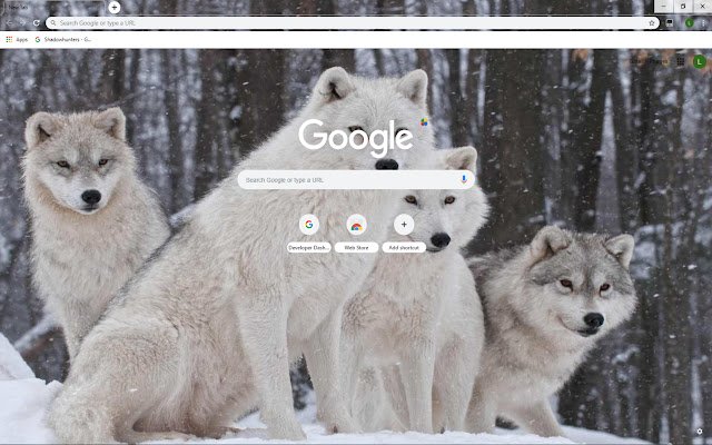 OffiDocs Chromium オンラインで実行される Chrome Web ストアの White Wolves テーマ