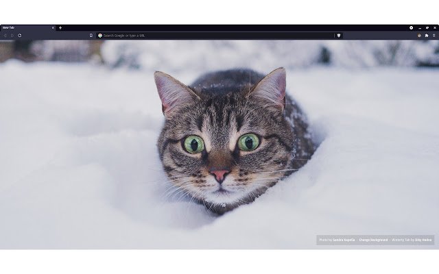 Chrome 网上商店的 Winterly Tab 将与 OffiDocs Chromium 在线运行