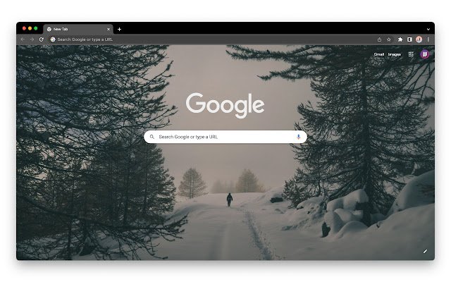 Chrome ウェブストアの Winter Snow Silhouette を OffiDocs Chromium オンラインで実行