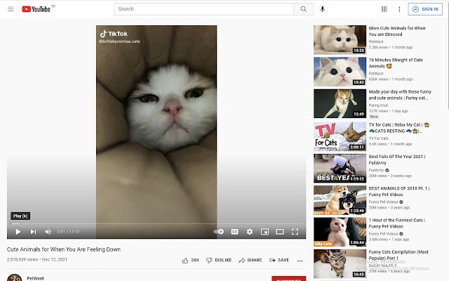 Youtube Ad Remover  from Chrome web store to be run with OffiDocs Chromium online