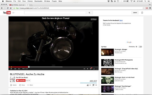 YouTube Annotation Toggle  from Chrome web store to be run with OffiDocs Chromium online